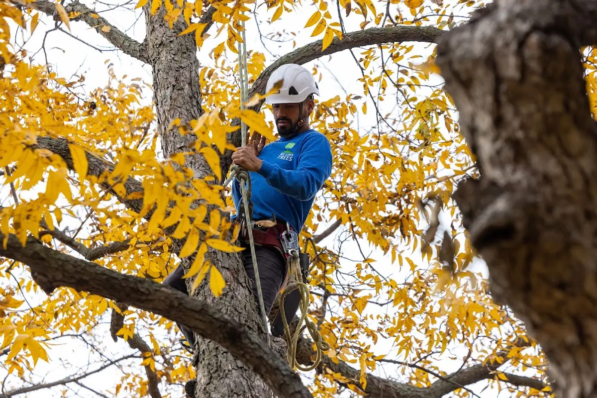 Skilled Storm Damage Cleanup crew working in Stillwater