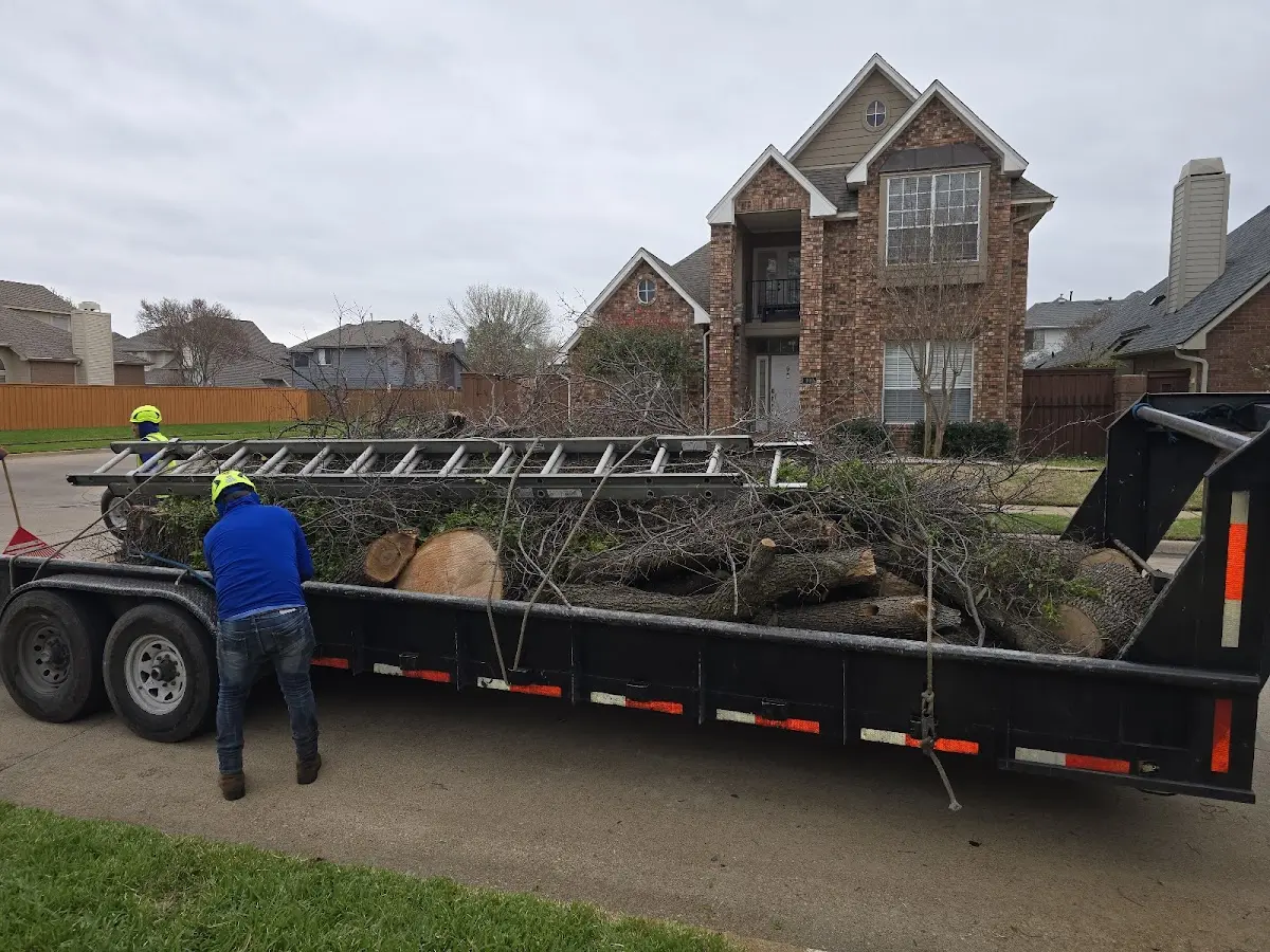 Expert Tree Pest Control with proper safety equipment in Stillwater